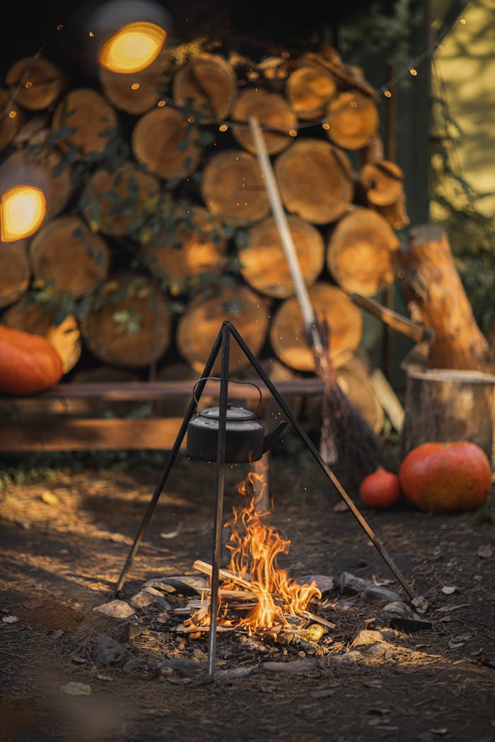A warm campfire surrounded by logs and pumpkins, creating an autumnal outdoor atmosphere.